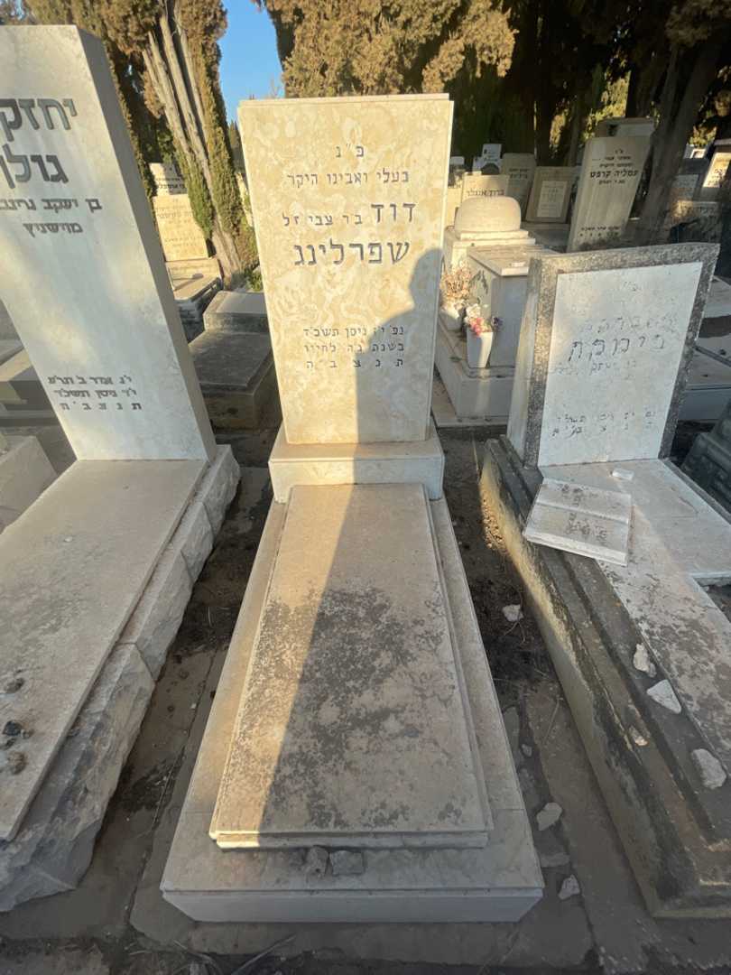 קברו של דוד שפרלינג