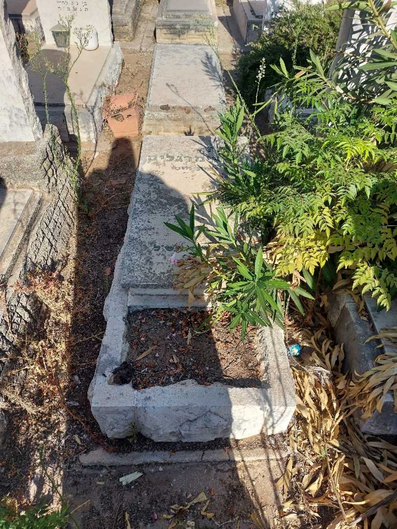 קברו של לולה אימרגליק. תמונה 1