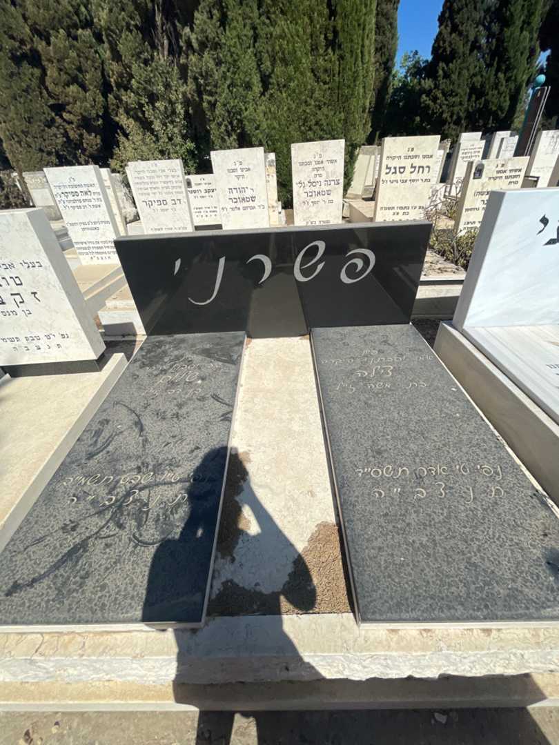 קברו של שלום פשרני. תמונה 1