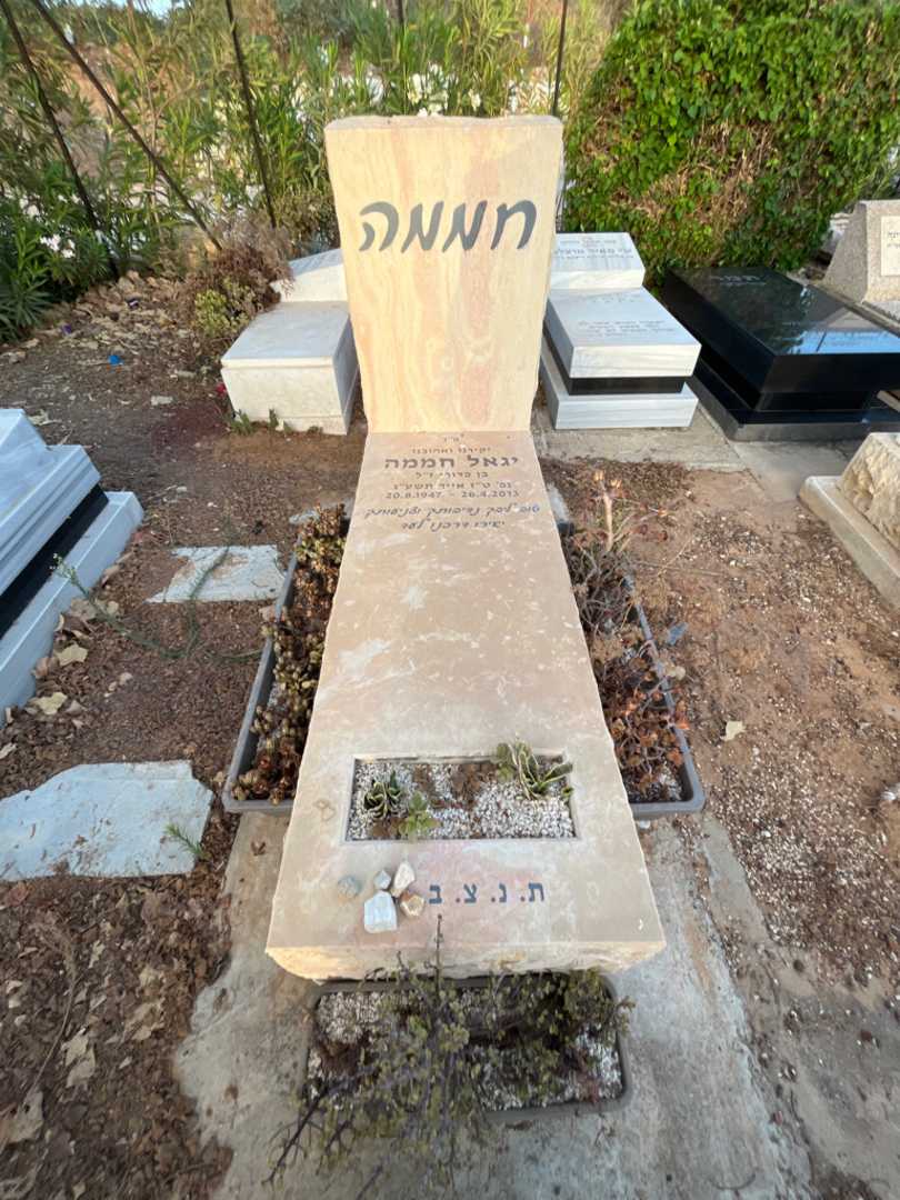 קברו של יגאל חממה