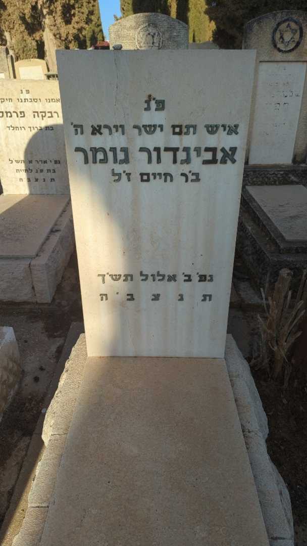 קברו של אביגדור גומר