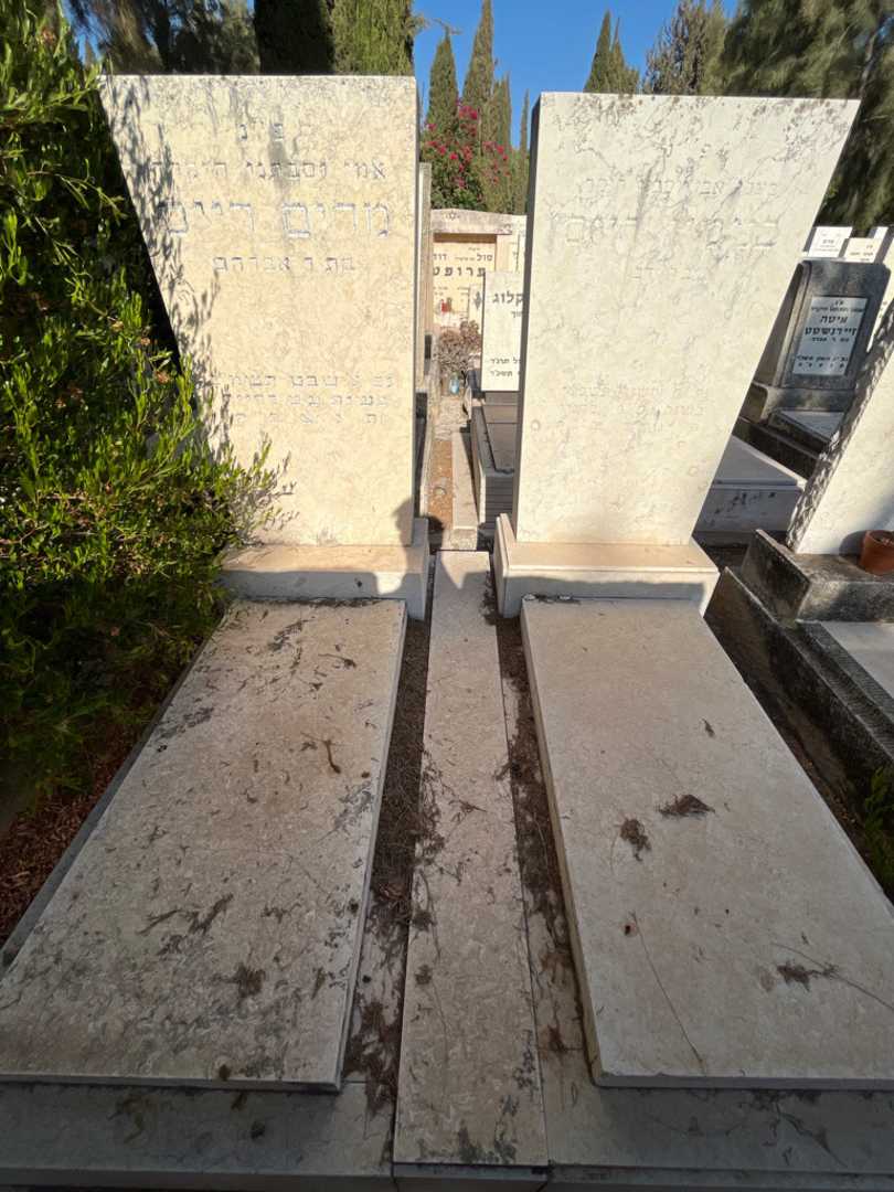 קברו של בנימין רייס. תמונה 1