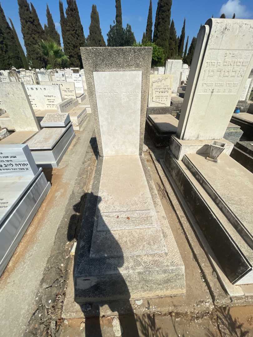 קברו של משה סיגלר
