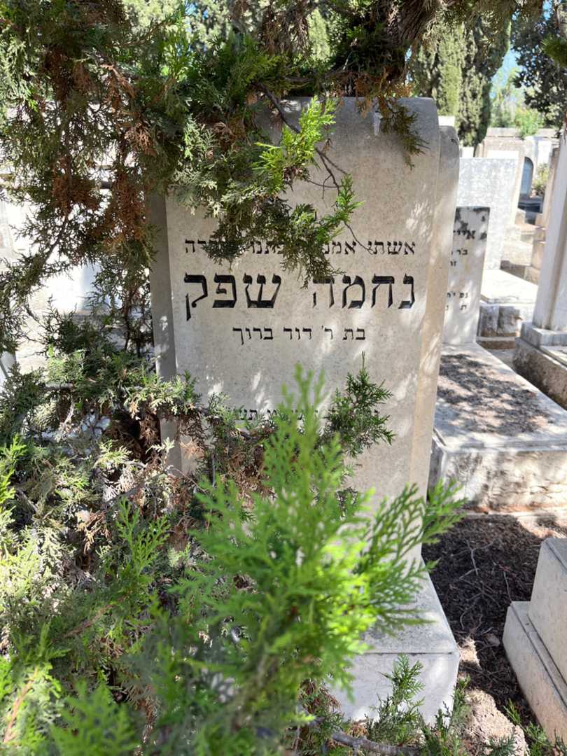 קברו של נחמה שפק. תמונה 2