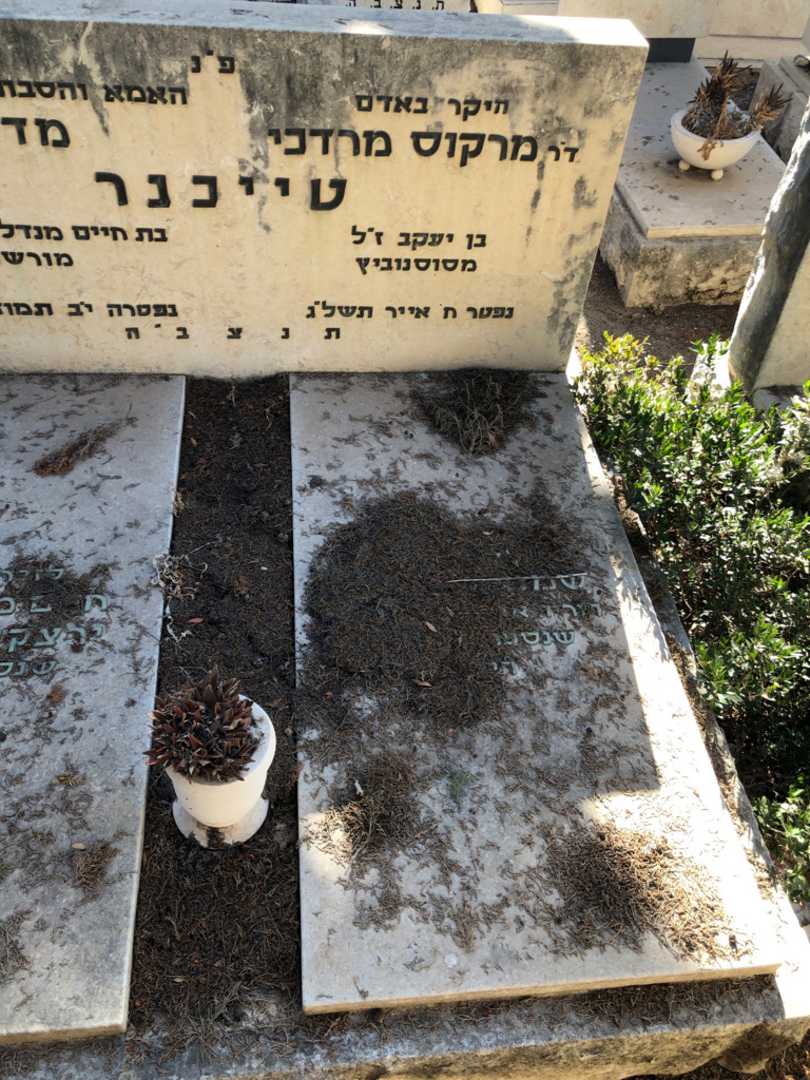 קברו של מרקוס מרדכי טייכנר. תמונה 1