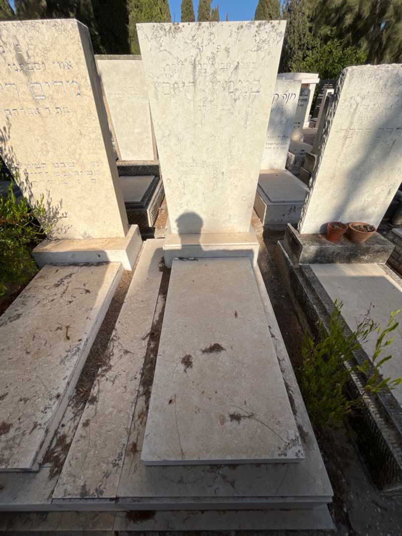קברו של בנימין רייס. תמונה 2