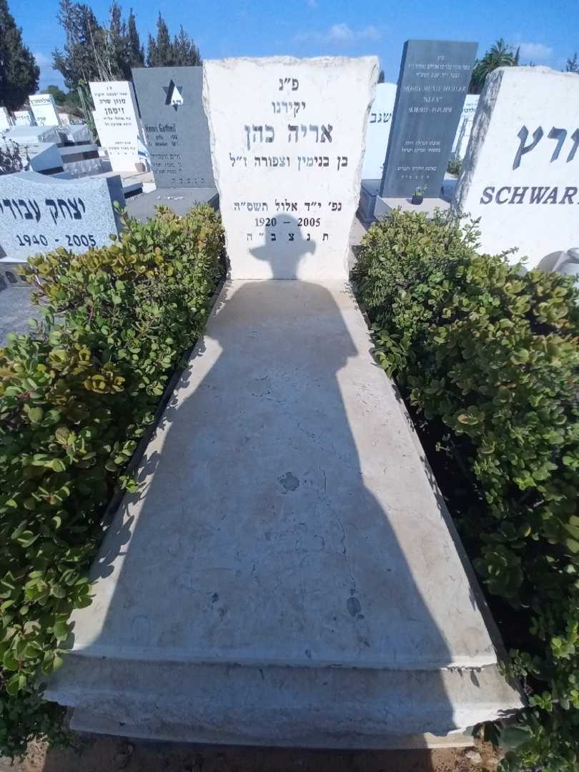 קברו של אריה כהן