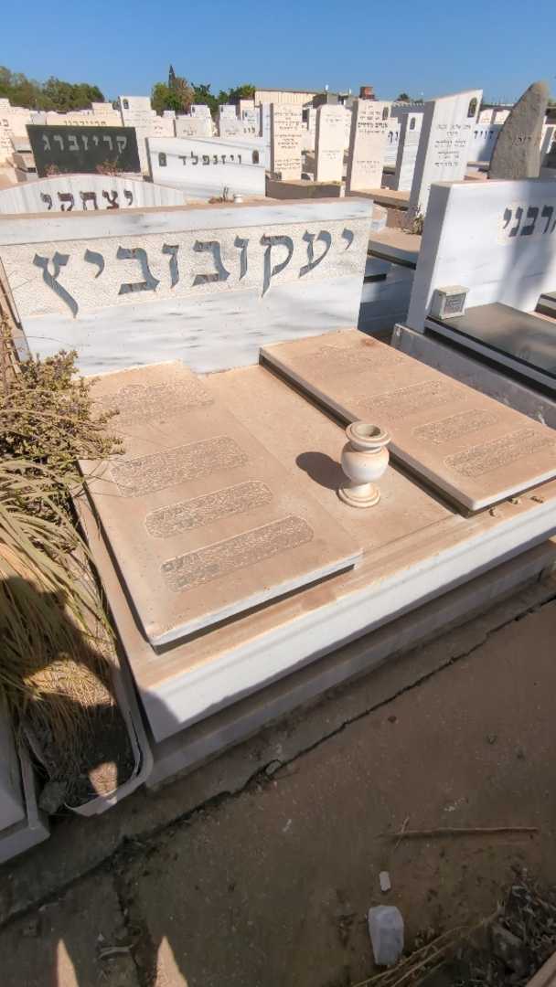 קברו של שלום יעקובוביץ. תמונה 2