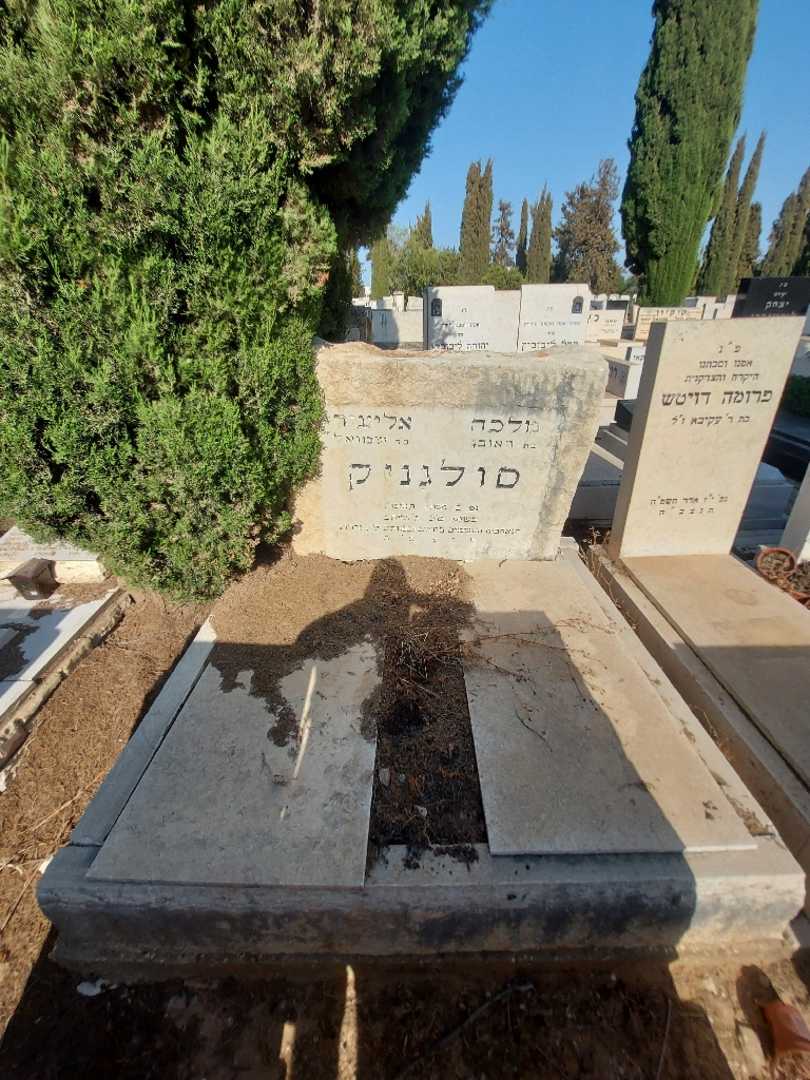 קברו של אליעזר סולגניק. תמונה 2