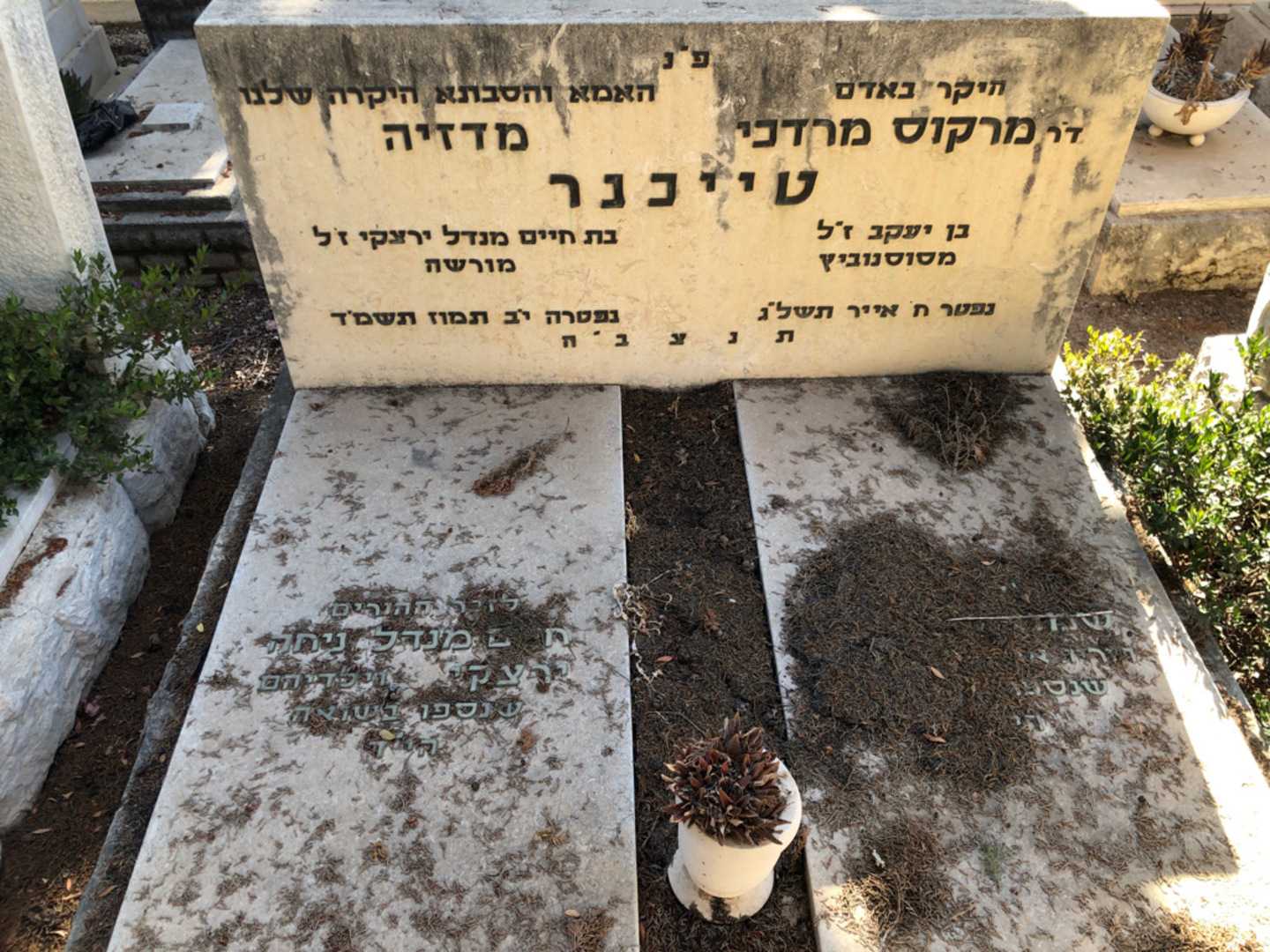 קברו של מרקוס מרדכי טייכנר. תמונה 2