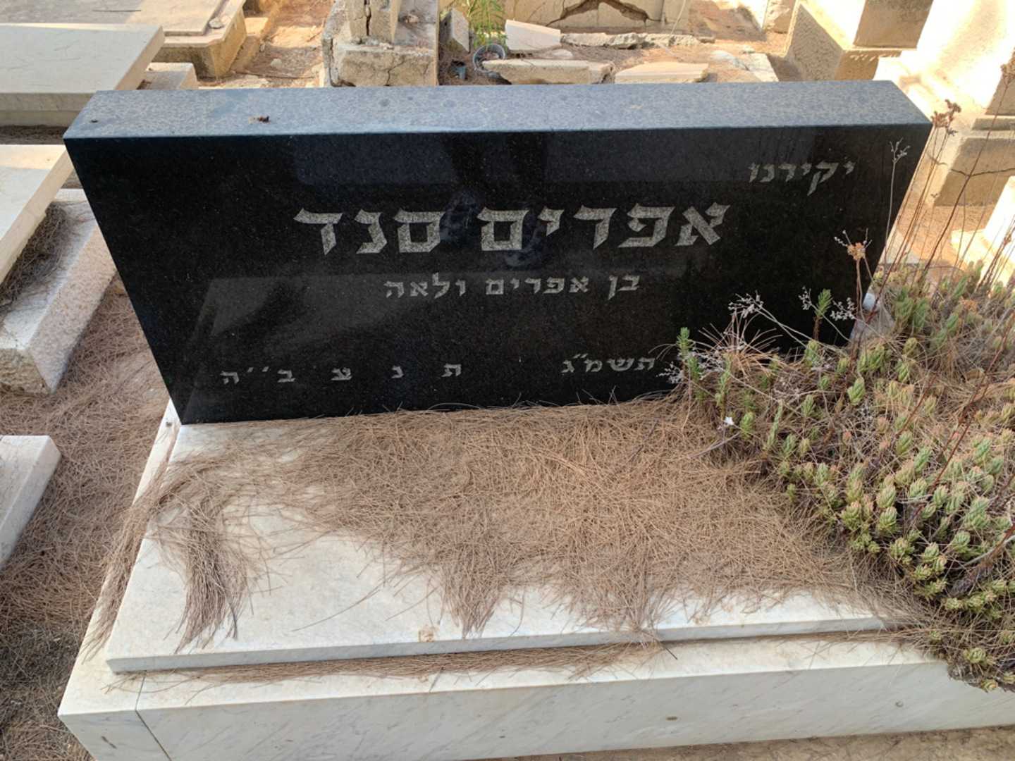 קברו של אפדים סגד