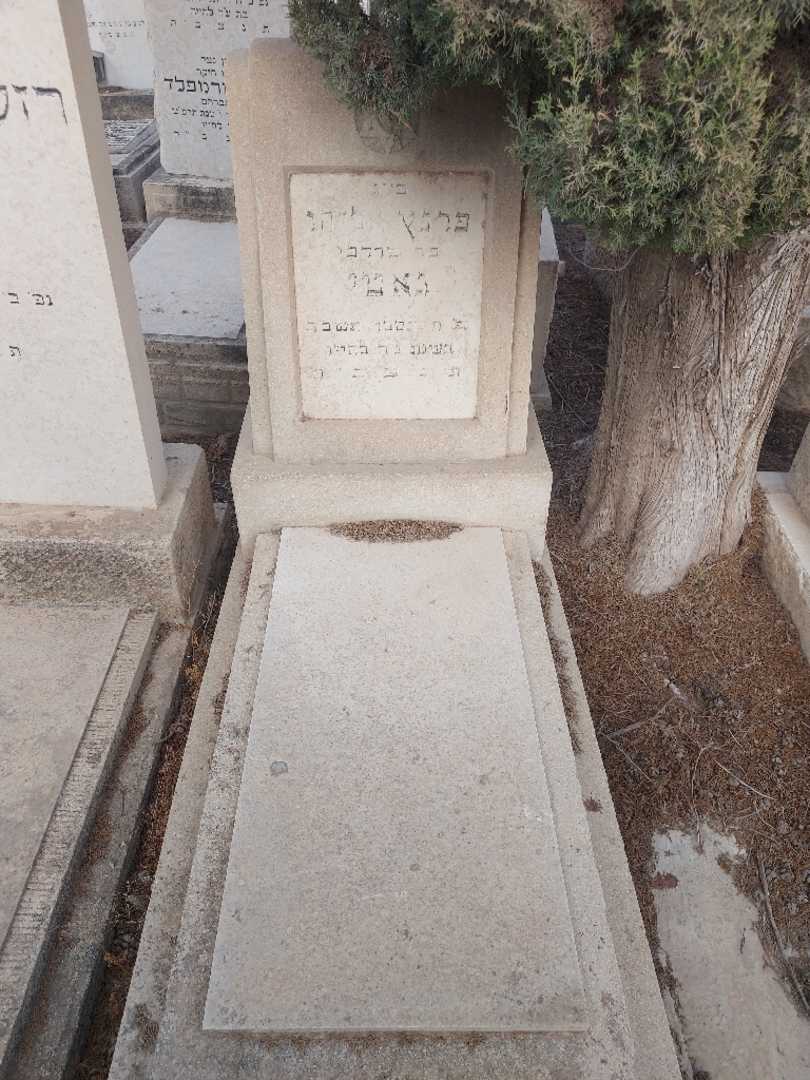 קברו של פרנץ אליהו נאטי