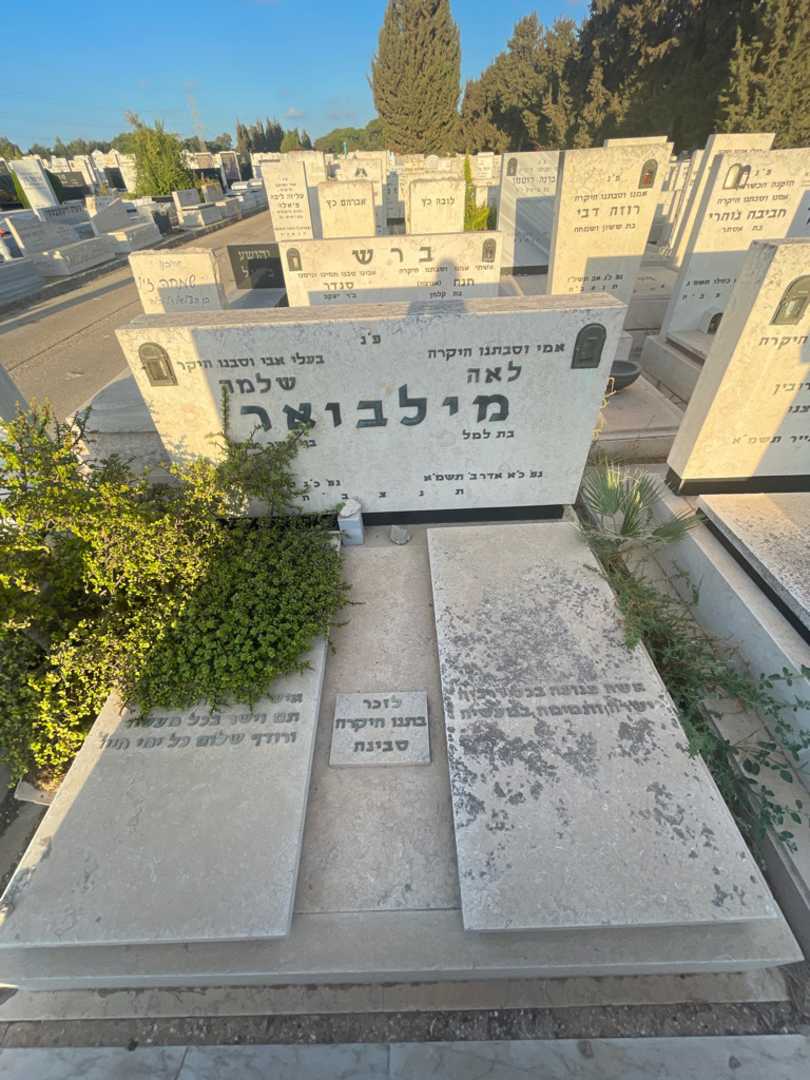 קברו של שלמה מילבואר. תמונה 1