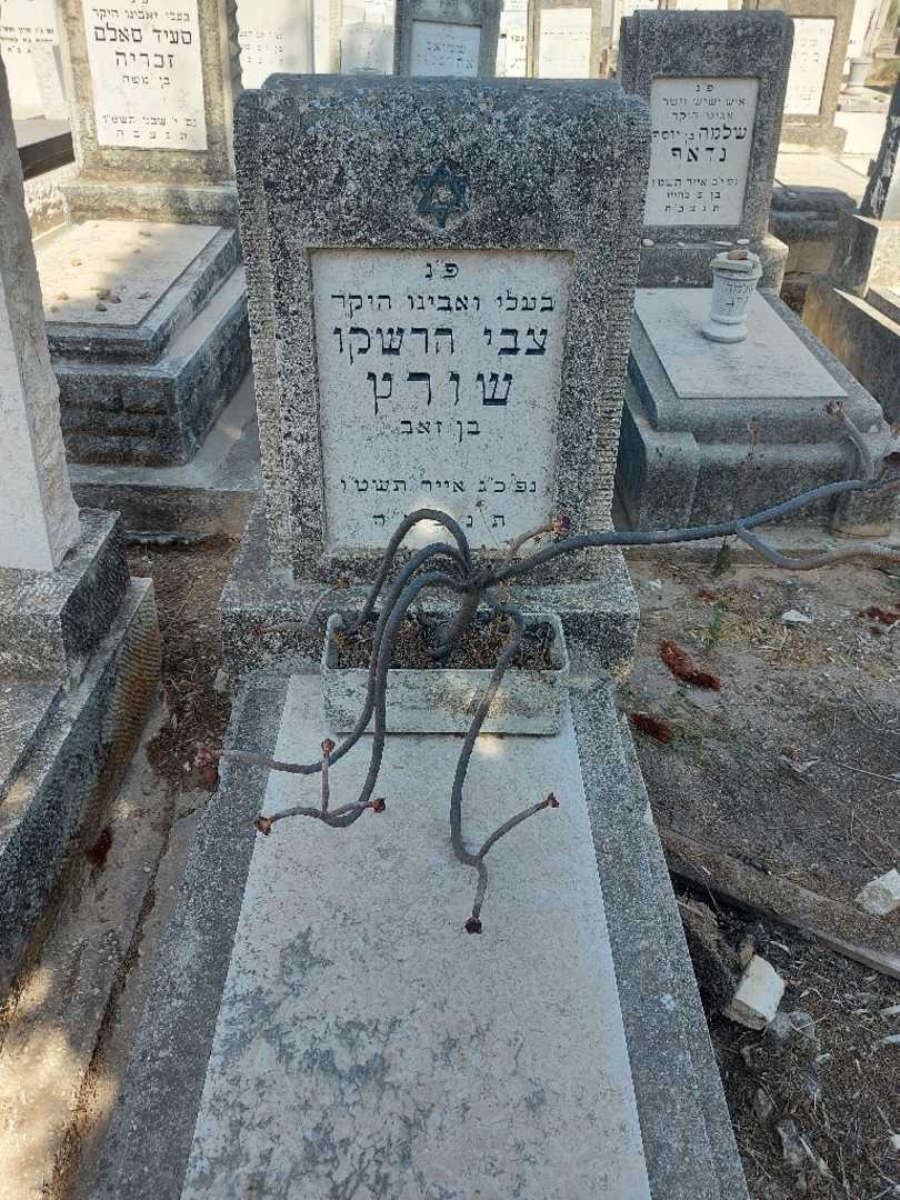 קברו של צבי הרשקו שורץ. תמונה 1