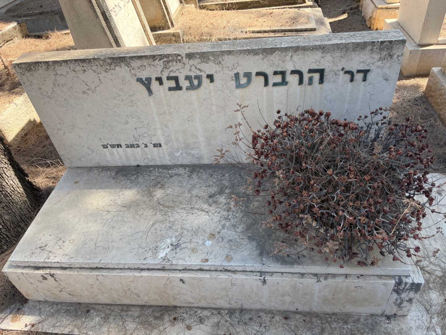 קברו של הרברט יעביץ