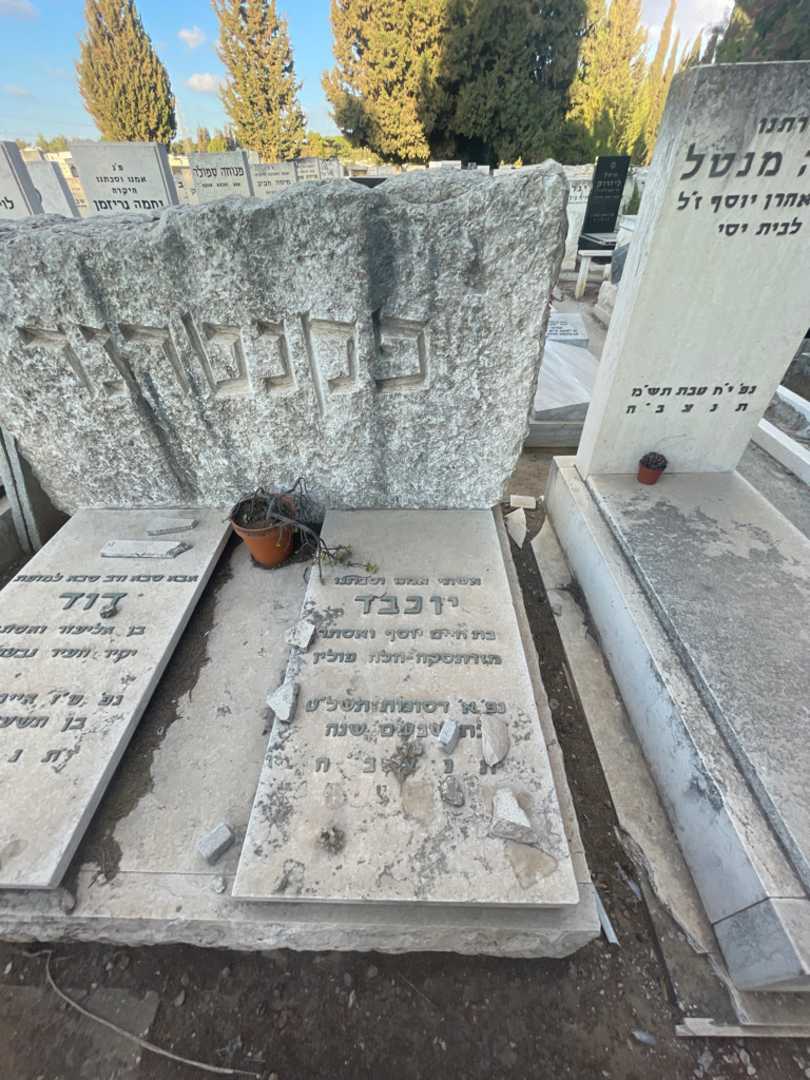 קברו של יוכבד פקנטרנר. תמונה 2