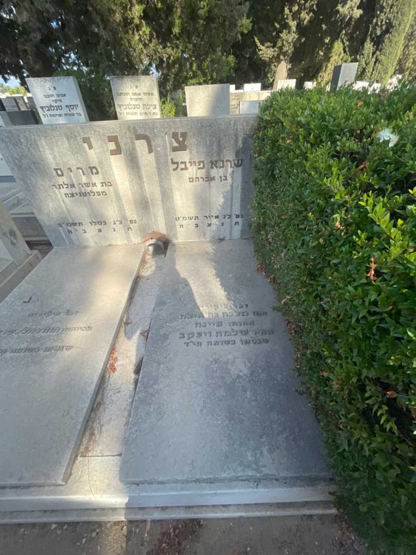 קברו של שרגא פייבל צ׳רני. תמונה 2