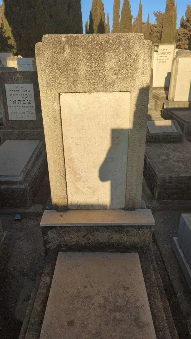 קברו של שמואל יעקב צרפתי. תמונה 1