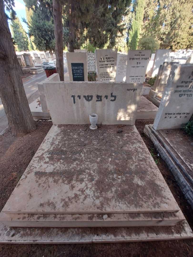 קברו של בתיה ליפשין. תמונה 2