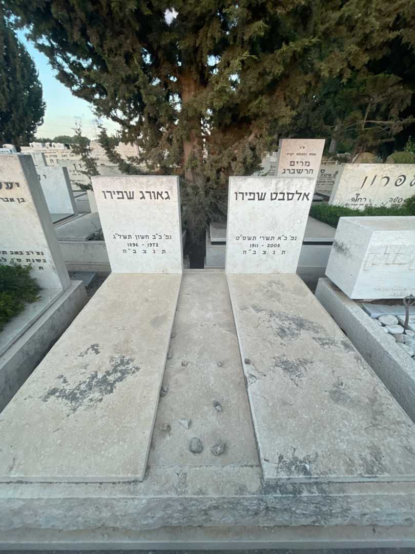 קברו של אלסבט שפירו. תמונה 1