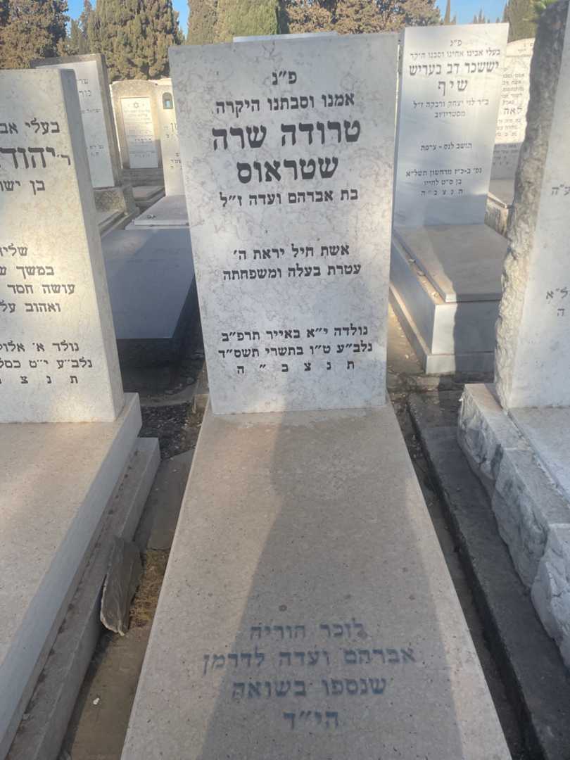 קברו של עדה לדרמן. תמונה 2