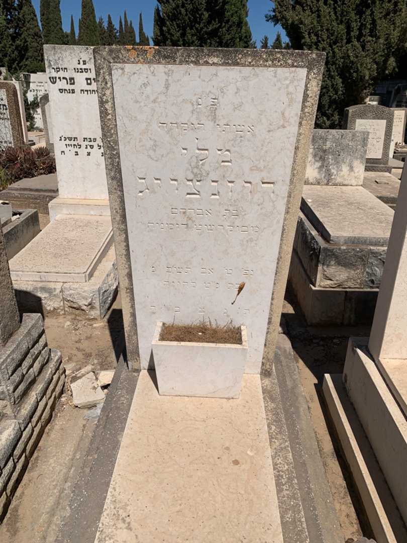קברו של מלי רוזנצויג
