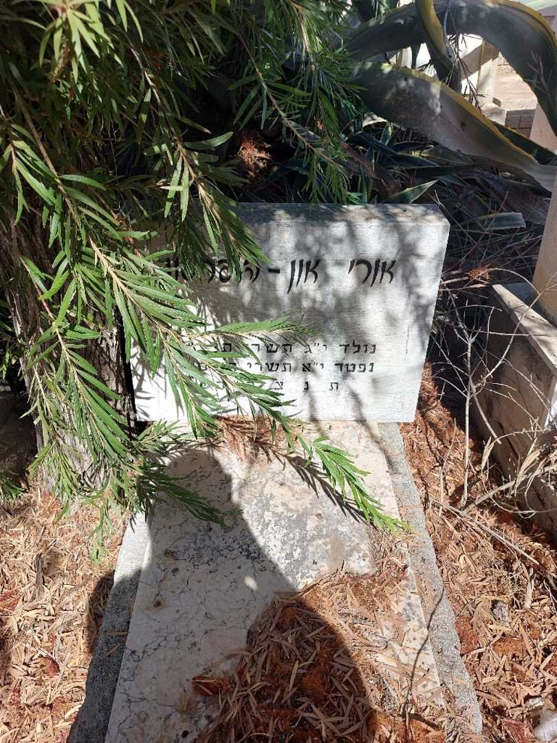 קברו של אורי און-הלפרסון. תמונה 1