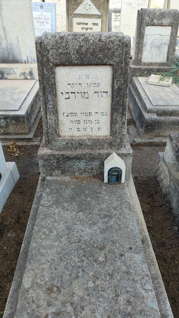 קברו של דוד מרדכי