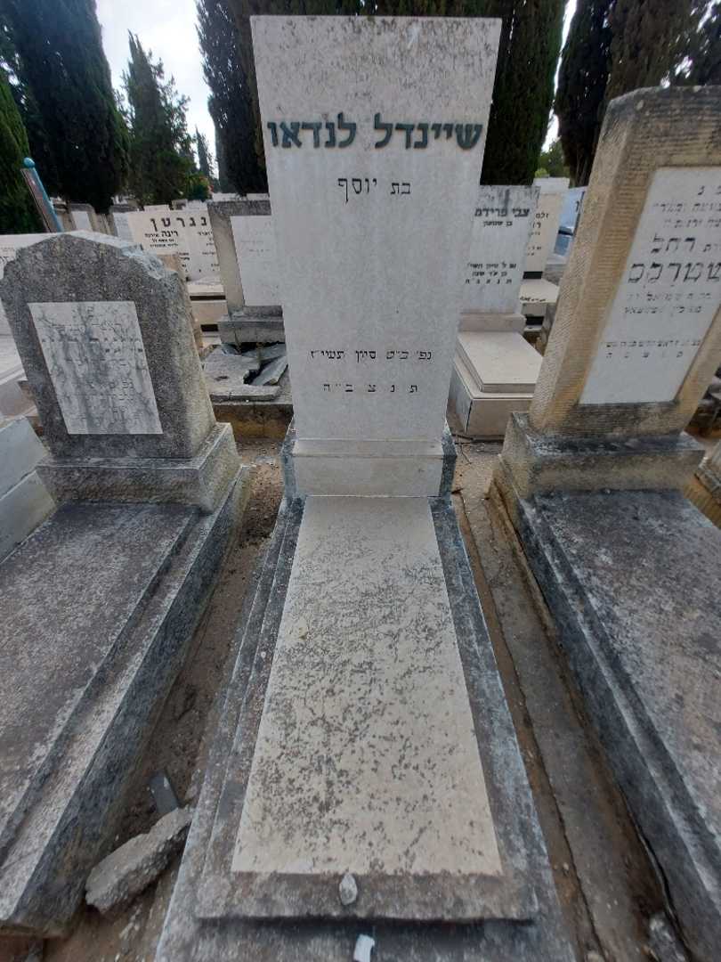 קברו של שיינדל לנדאו
