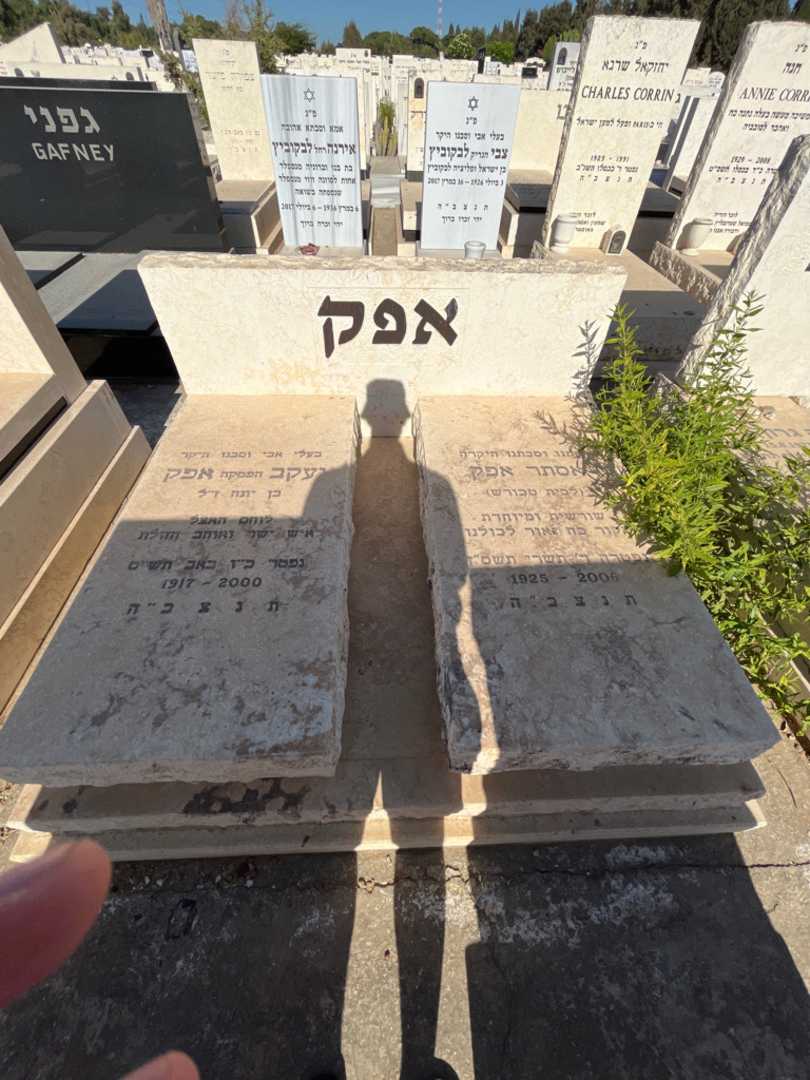 קברו של אסתר אפק. תמונה 1