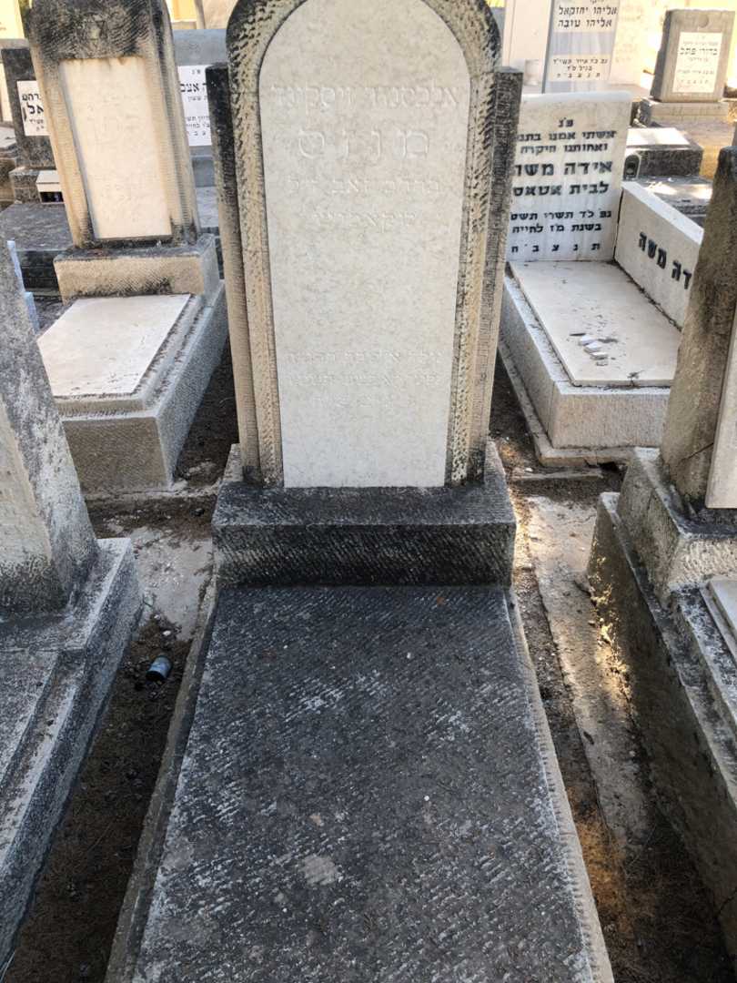 קברו של אלכסנדר זיסקינד מוזס. תמונה 1