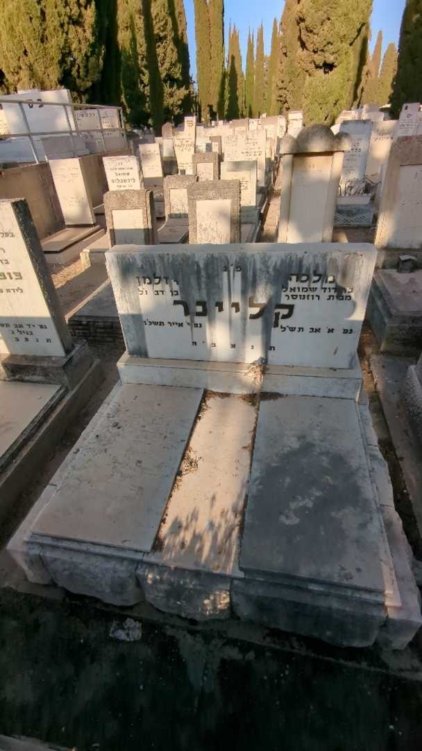 קברו של זלמן קליינר. תמונה 1