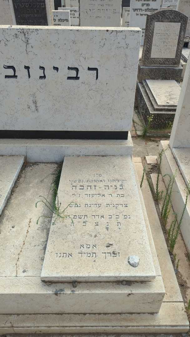 קברו של גניה-זהבה רבינוביץ. תמונה 1