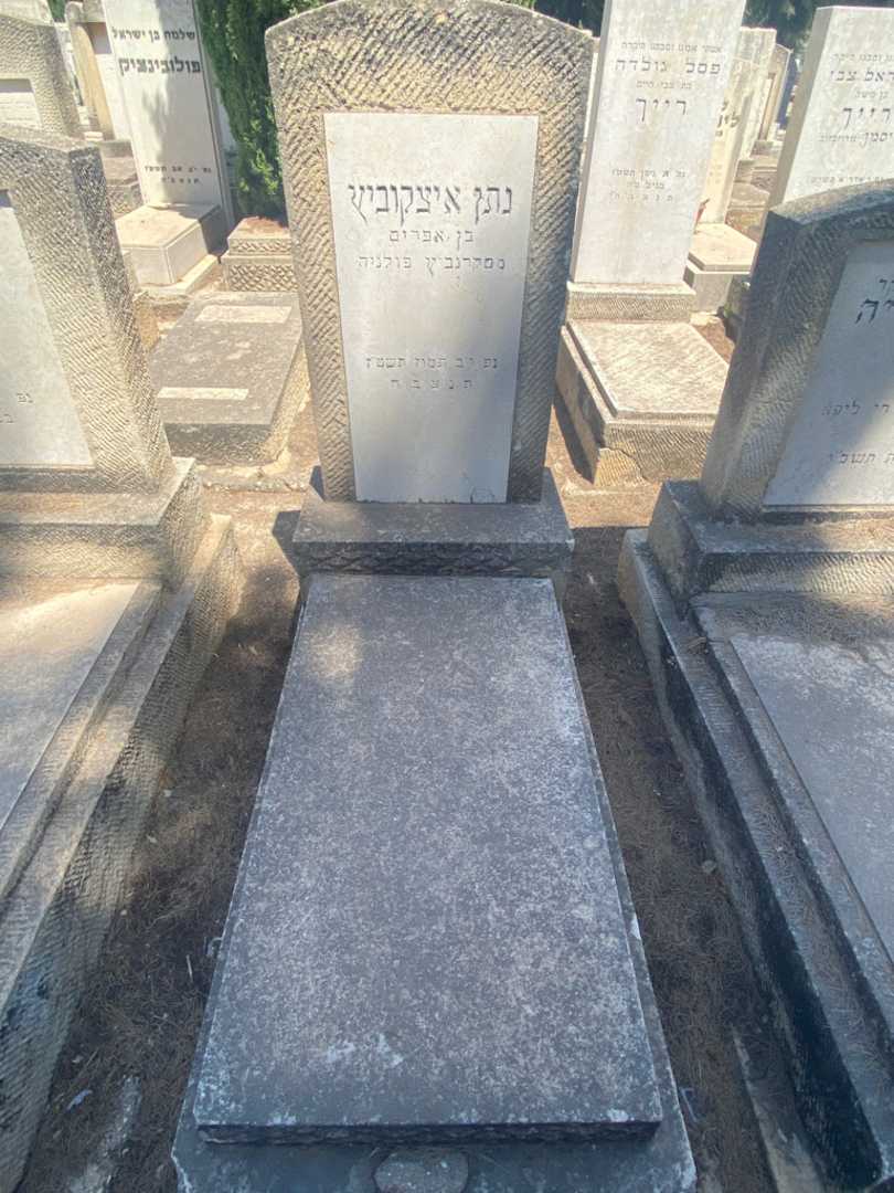 קברו של נתן איצקוביץ