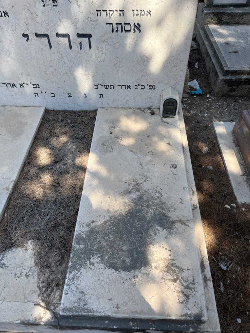 קברו של אסתר הררי. תמונה 1