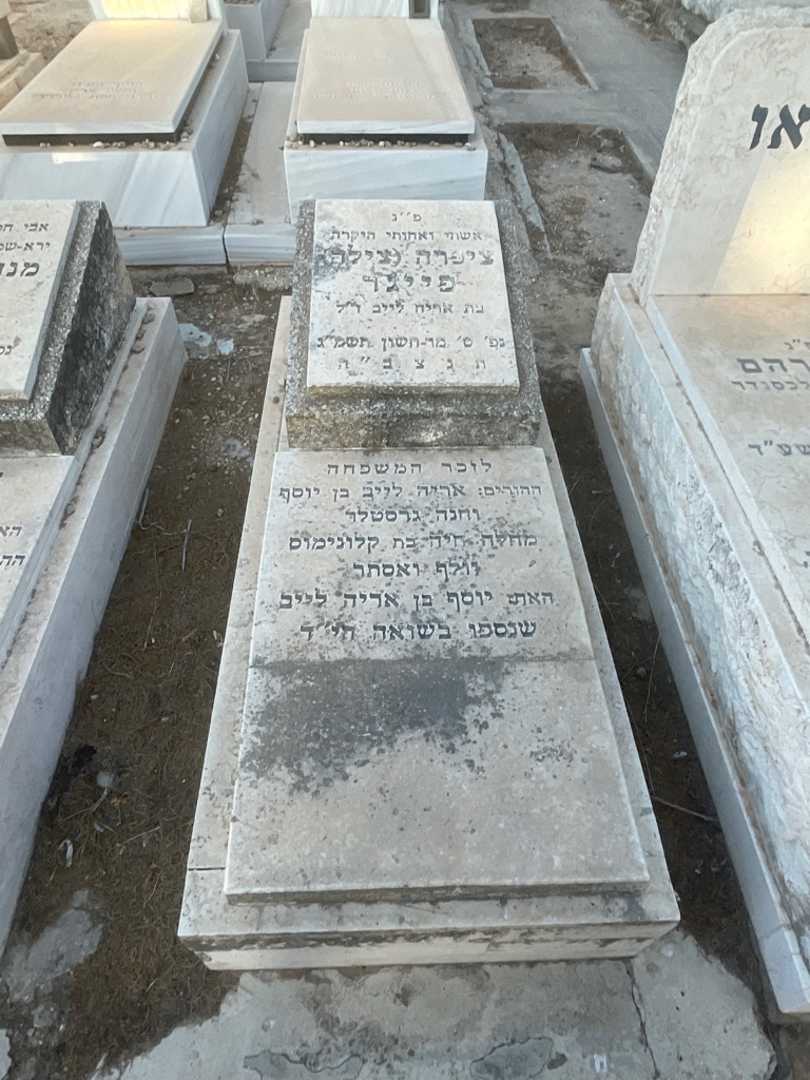 קברו של חנה גרסטלר. תמונה 2