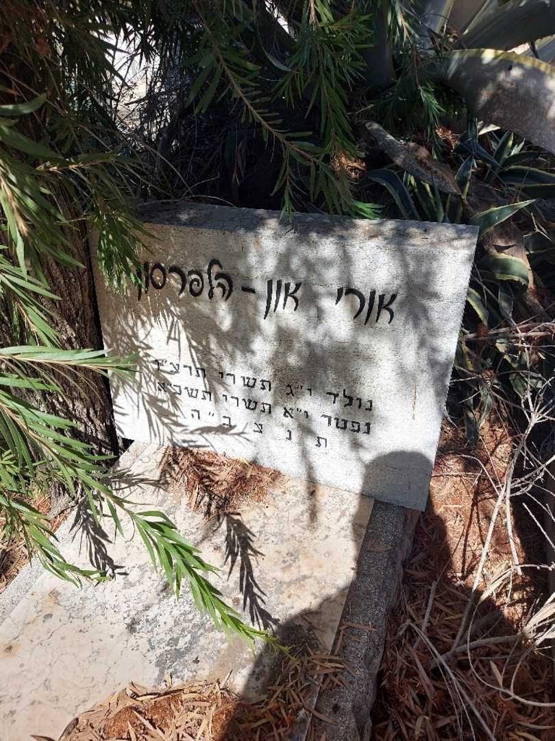 קברו של אורי און-הלפרסון. תמונה 2