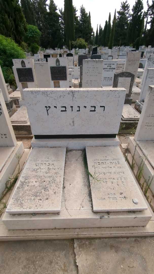 קברו של גניה-זהבה רבינוביץ. תמונה 2