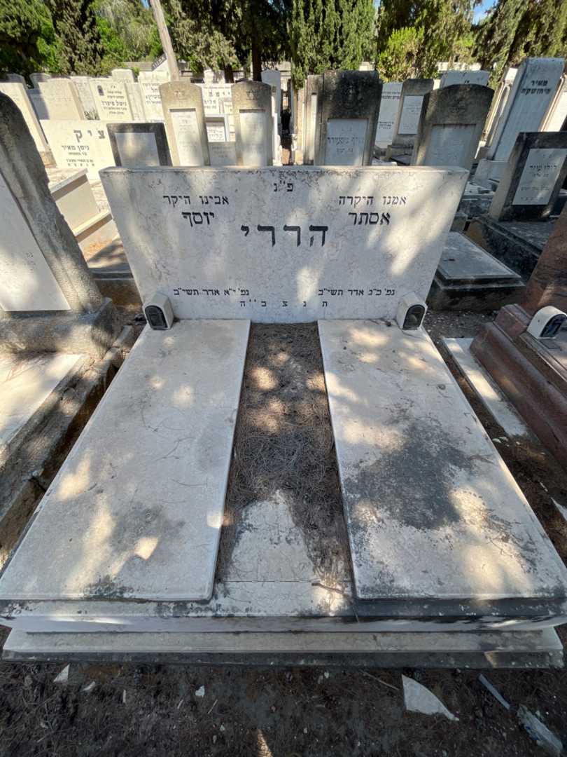 קברו של אסתר הררי. תמונה 2