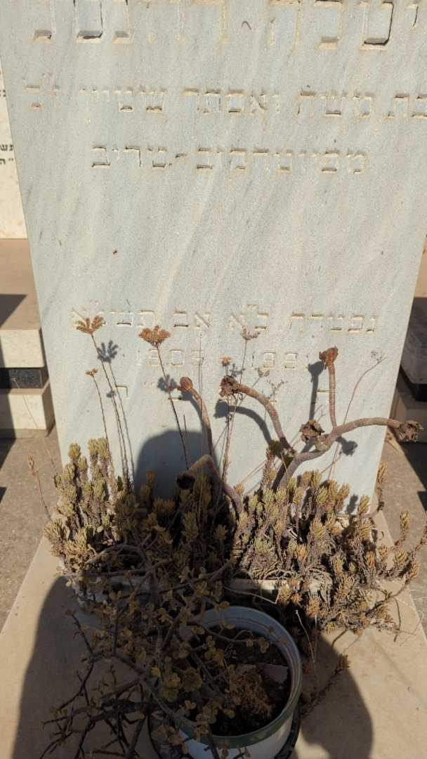 קברו של ויטלה רוזנטל. תמונה 2