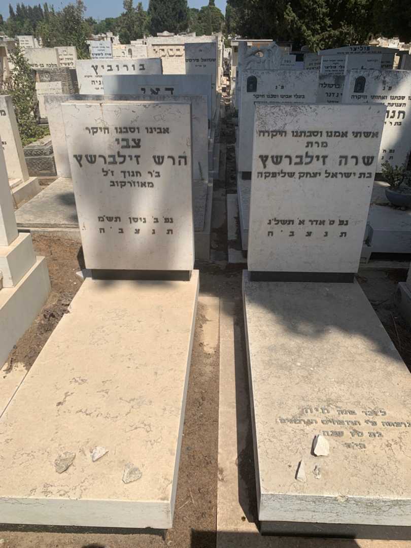 קברו של צבי הרש זילברשץ. תמונה 2