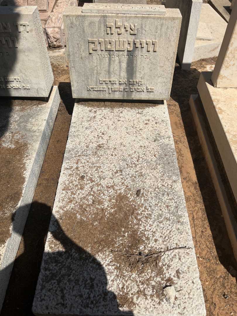 קברו של צילה וויינשטוק. תמונה 1
