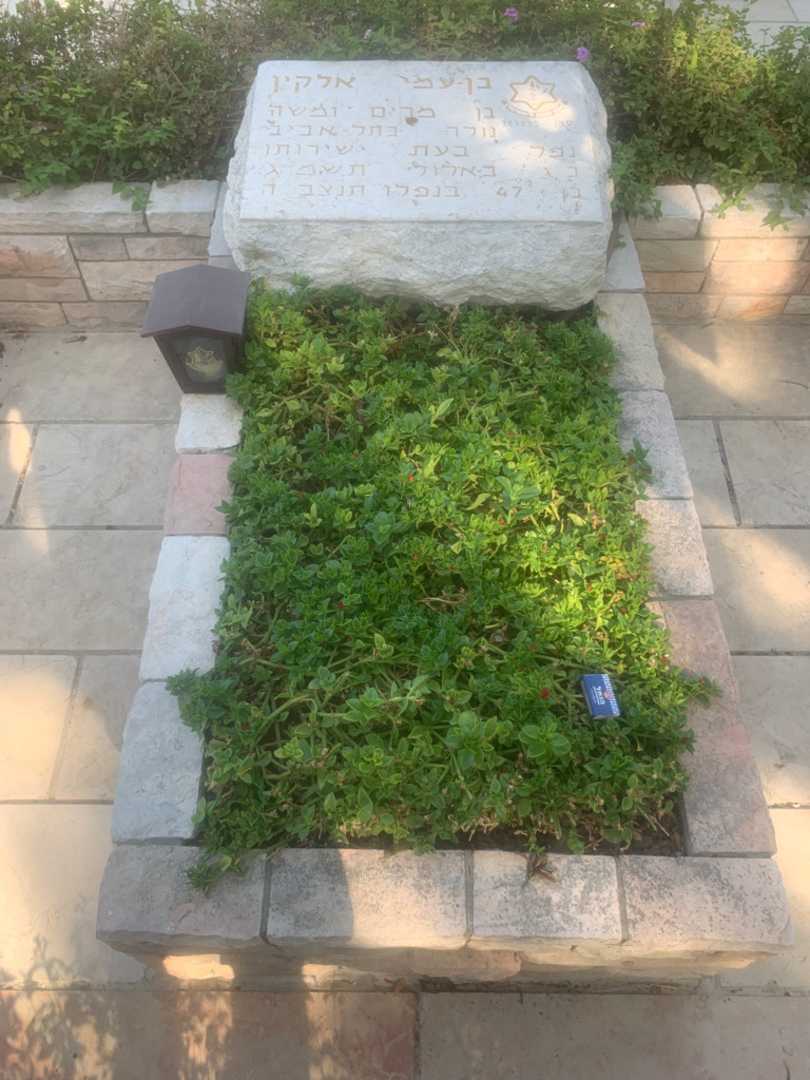 קברו של בן-עמי אלקין