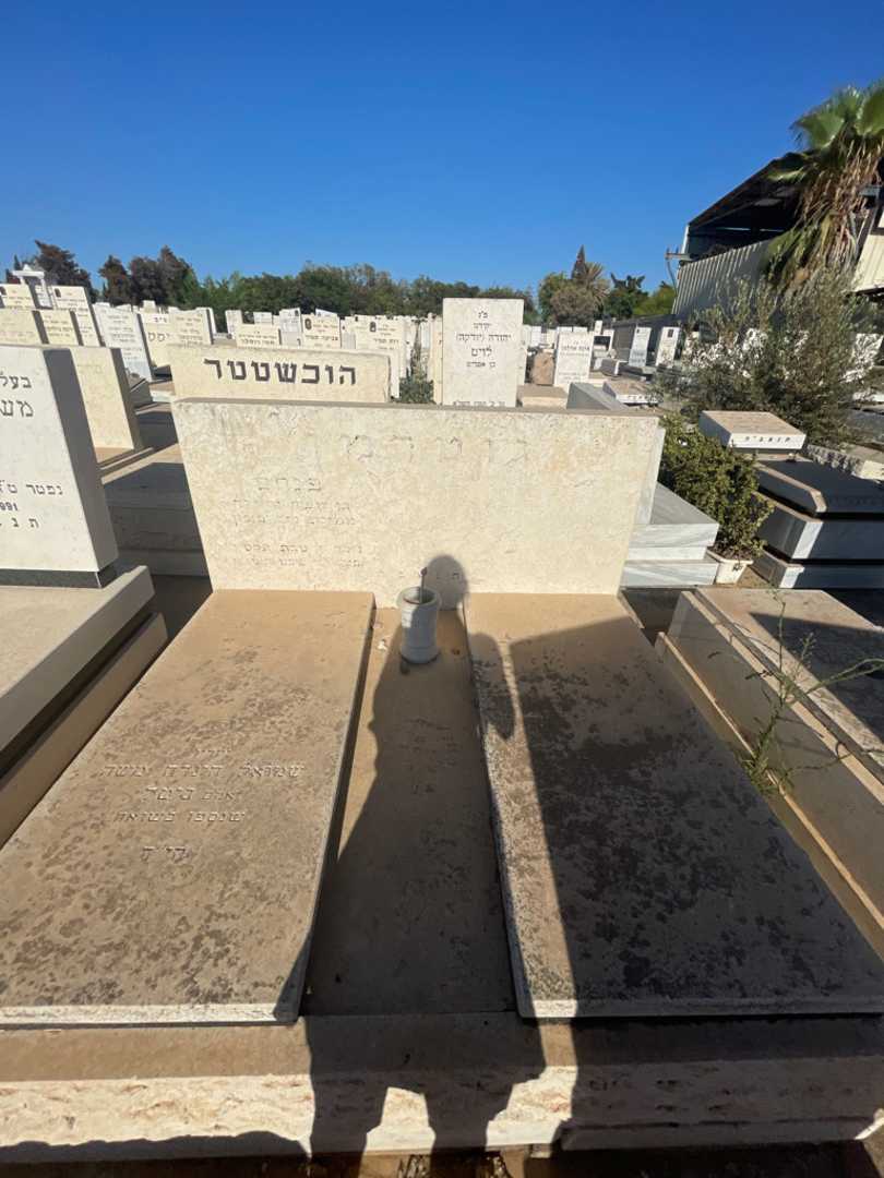 קברו של פנחס גוטרמן. תמונה 1