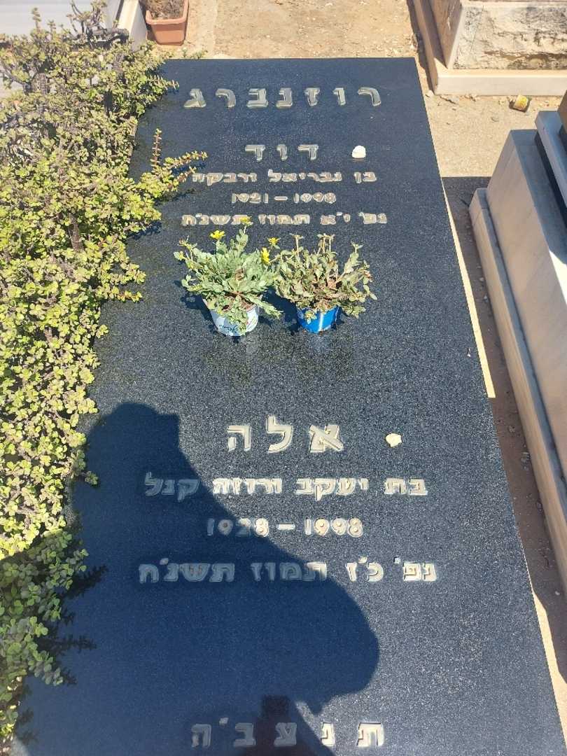 קברו של אלה רוזנברג. תמונה 2