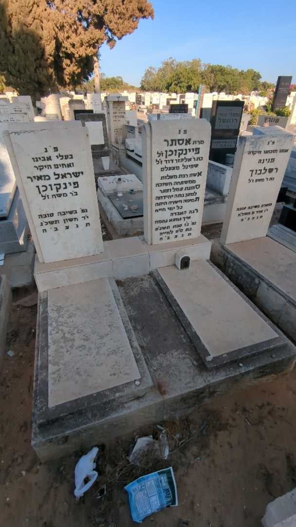 קברו של ישראל מאיר פינקוכן. תמונה 2
