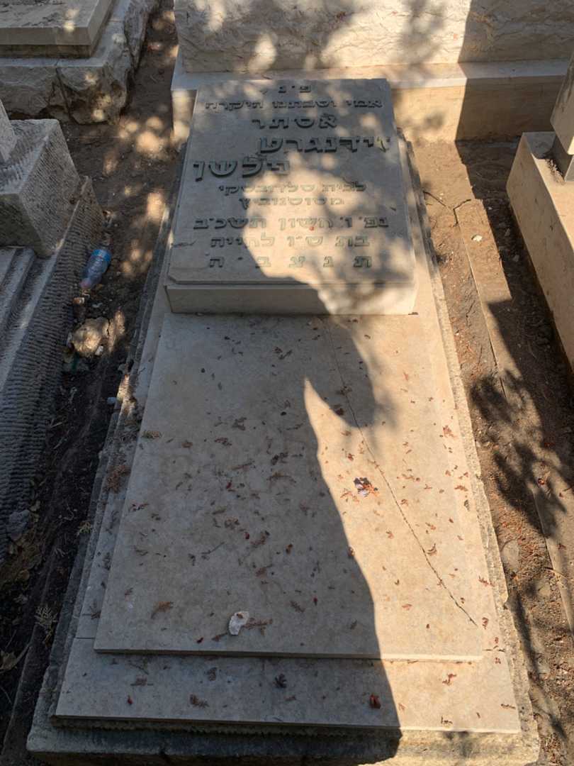 קברו של אסתר זידנגרט פלשן