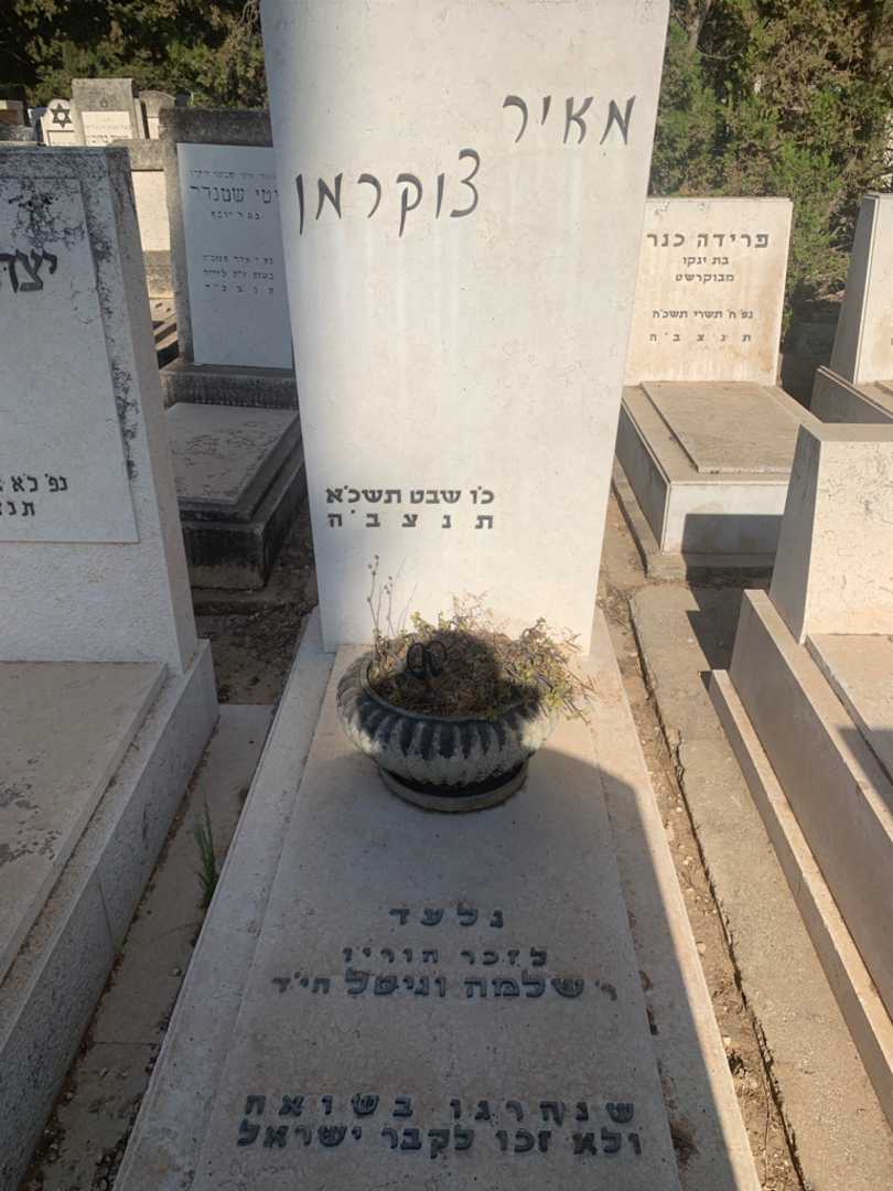 קברו של מאיר צוקרמן