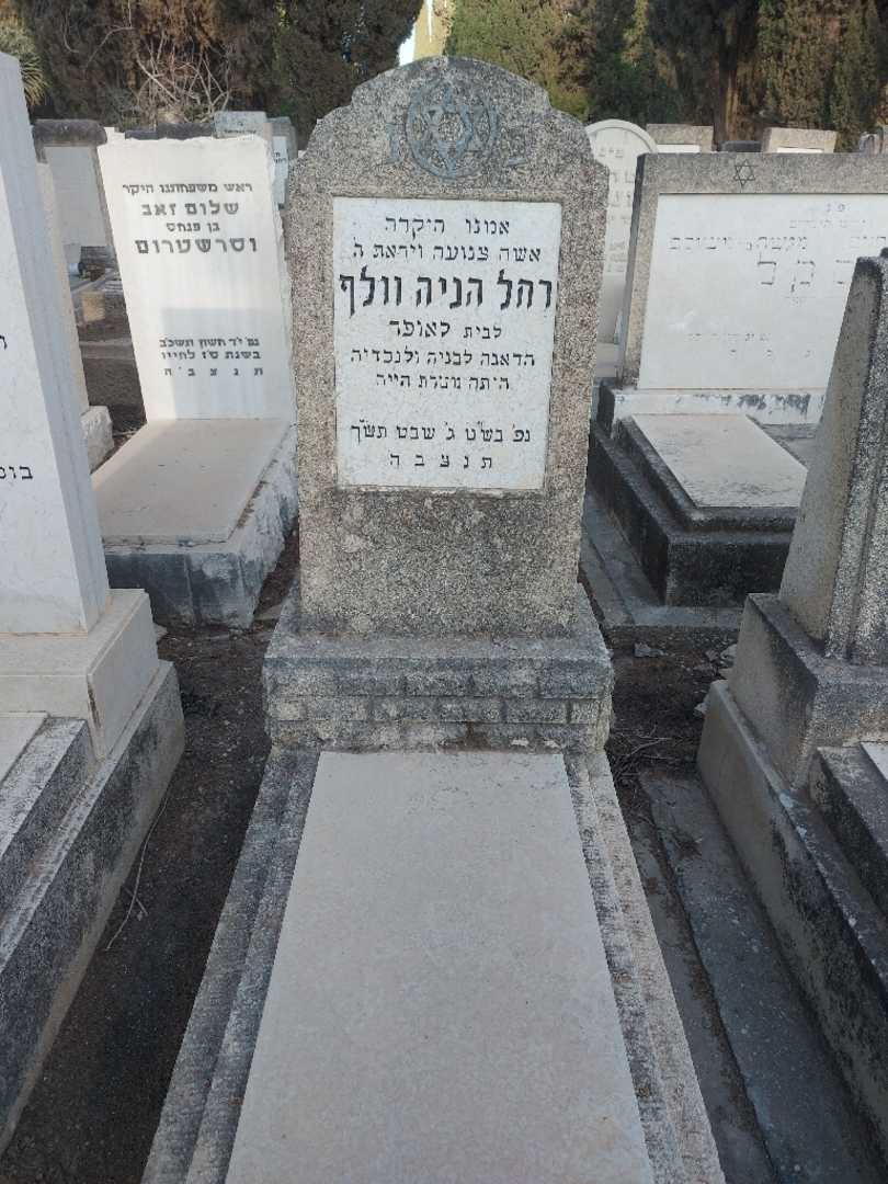 קברו של רחל הניה וולף