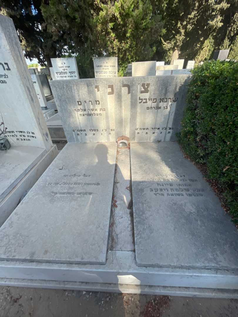 קברו של מרים צ׳רני. תמונה 1